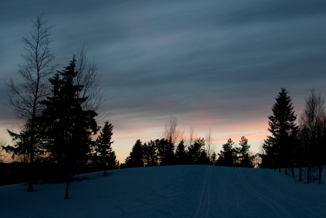 dsc_0491-640x428