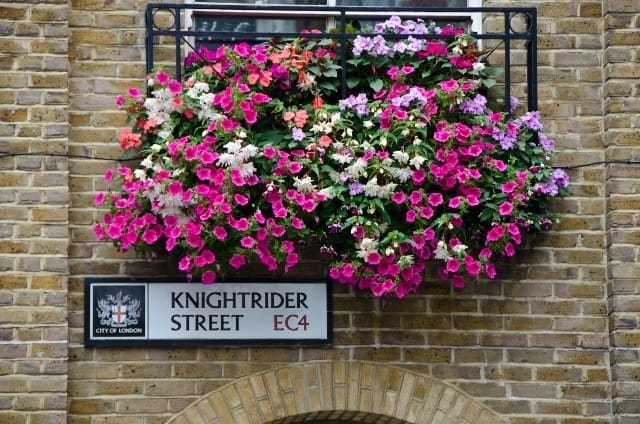 Read more about the article Grown-up Travel Guide Daily Photo: Knightrider Street, London, England