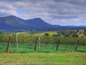 Read more about the article Best Wineries in Hunter Valley