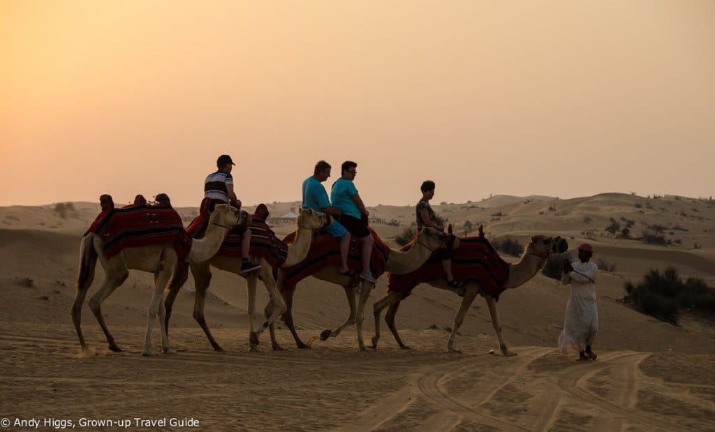 Desert safari camel ride