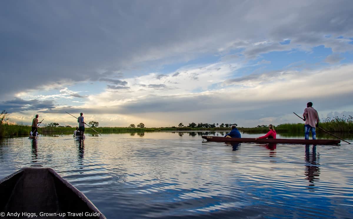 You are currently viewing An unforgettable Botswana safari: Part 1 – The Okavango Delta