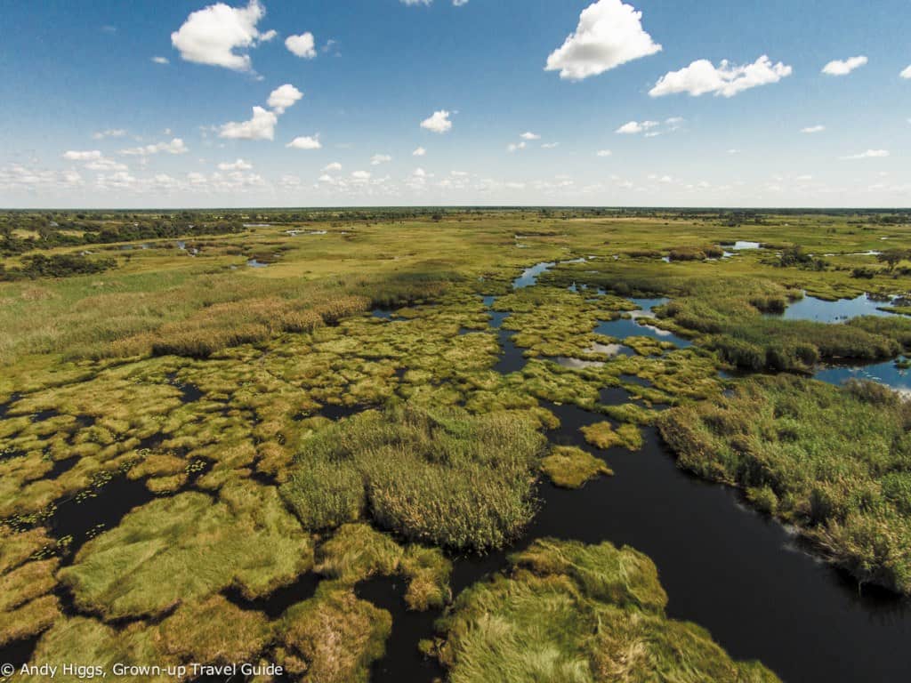 Okavango aerial