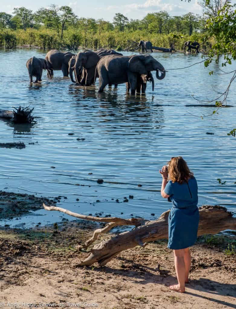 Close up Elephant photos