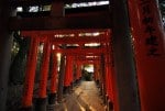 Read more about the article Experience a Japanese shrine in Kyoto in this guest video