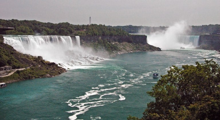 Wildlife of Niagara Falls