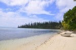 Read more about the article Pacific Dreams: Pining for the Isle of Pines