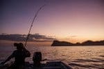 Read more about the article The Canary Islands: A surprising Destination for Anglers Who Like a Challenge