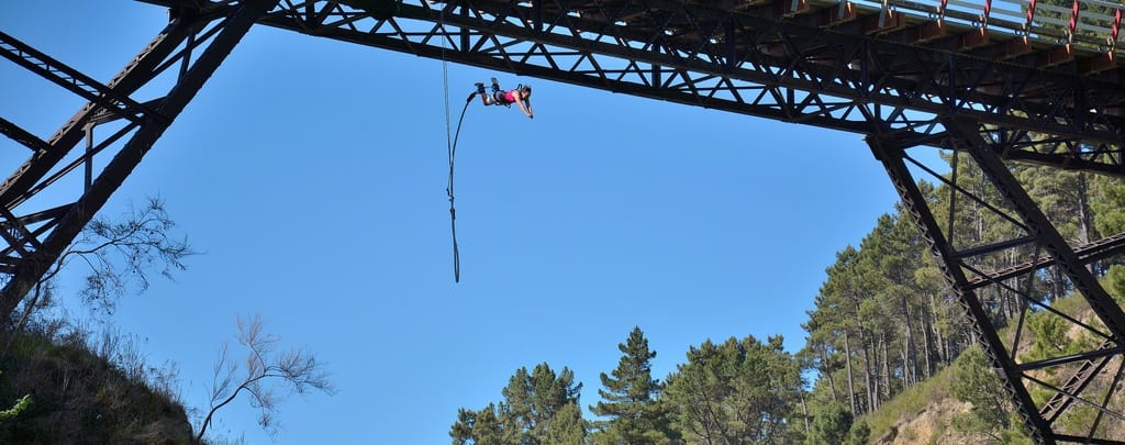 You are currently viewing Exhilarating Activities to Try in New Zealand for the Adrenaline Junkies