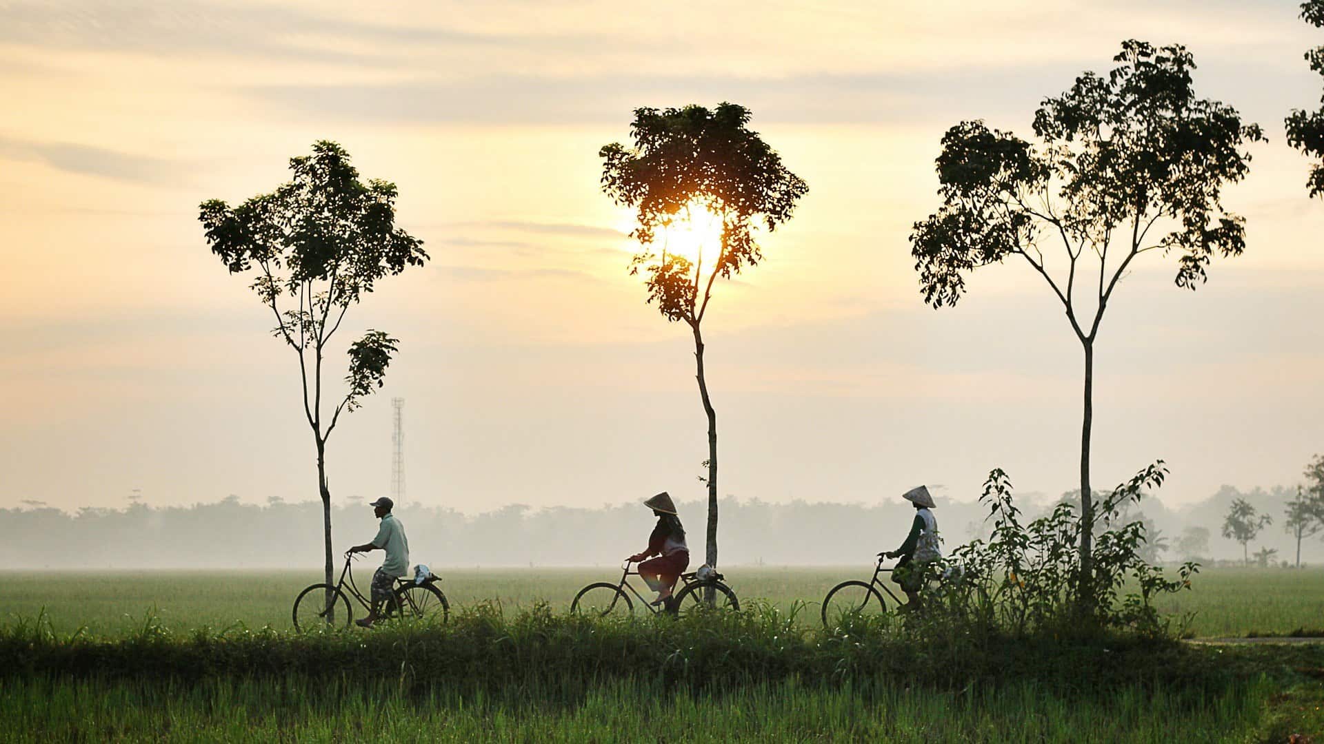 bicycle-riding-947336_1920