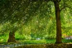 Read more about the article Why Visit Hammersmith and Shepherd’s Bush?