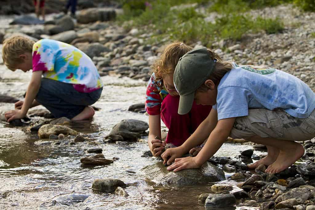 You are currently viewing Babes In The Wood: How To Introduce Your Kids To Camping