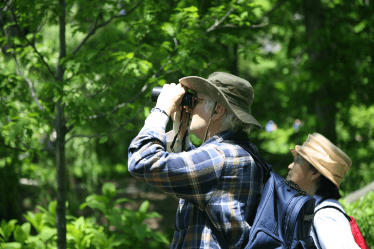 Polly want a cracker? … Tips on bird watching when on safari