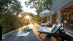 Read more about the article The Best Luxury Safaris in Africa