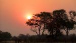 Read more about the article Incredible Ways to Experience Botswana