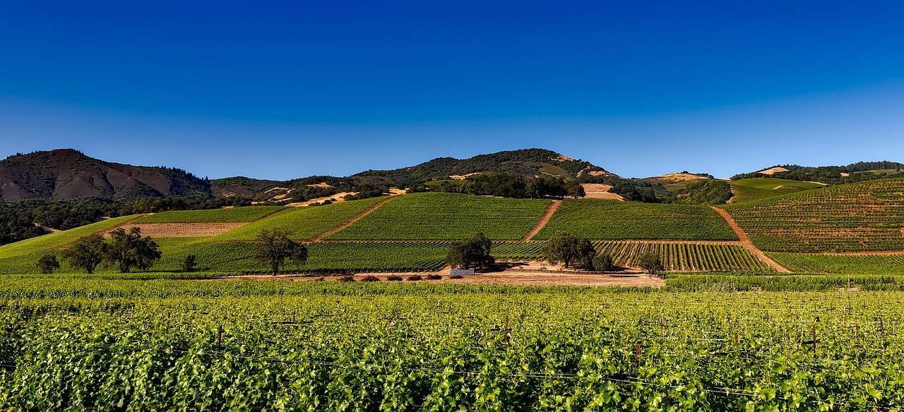 You are currently viewing From Vineyards to Caves – Getting the Most Out of a California Road Trip