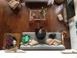Read more about the article House Sitting: An Unconventional Way to Travel – Its Upsides and Downsides