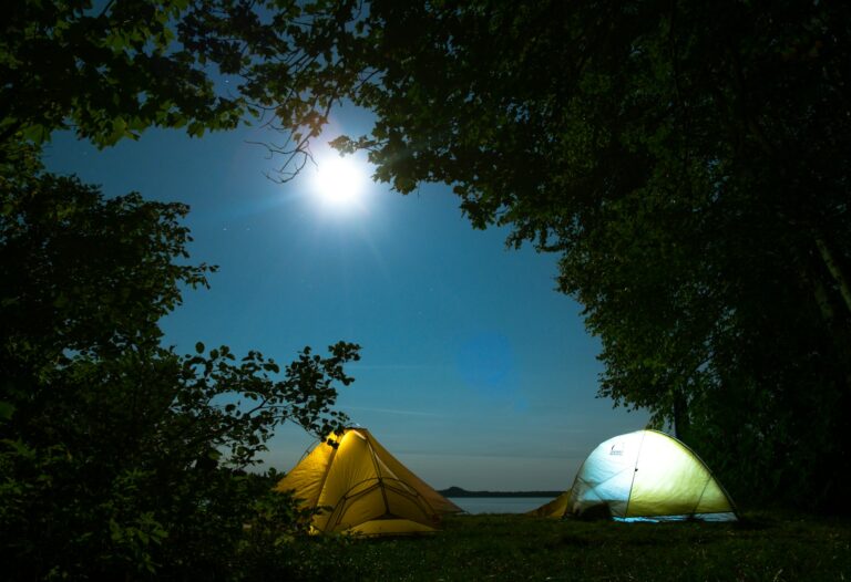 Top Tips for Eco-Friendly Camping Trips